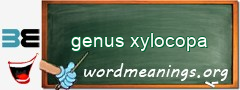 WordMeaning blackboard for genus xylocopa